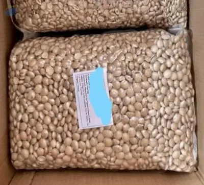 White Sacha Inchi Seed by 99 Gold Data Processing Trading Company Limited