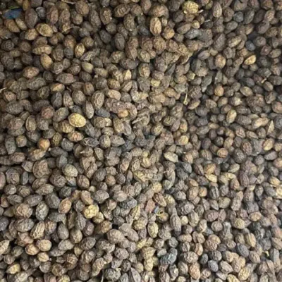 Dried Papaya Seed by 99 Gold Data Processing Trading Company Limited