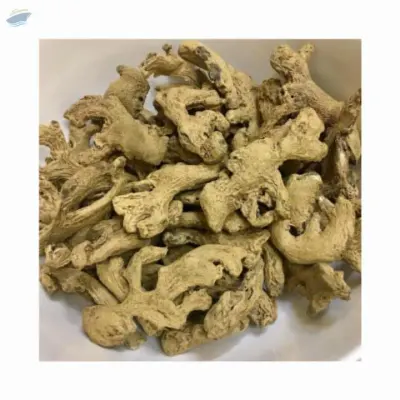 Organic Raw Dried Ginger Slice by 99 Gold Data Processing Trading Company Limited