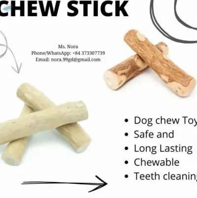 Wood Chew Dog by 99 Gold Data Processing Trading Company Limited