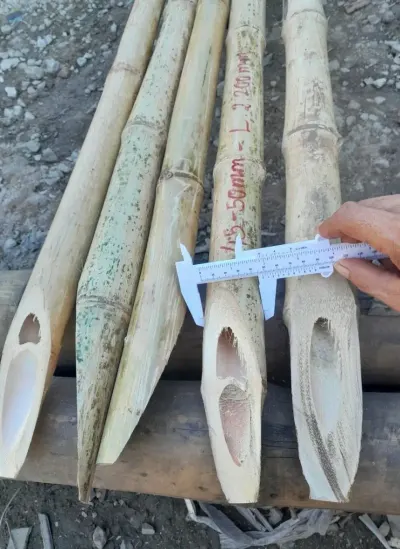 Bamboo Poles