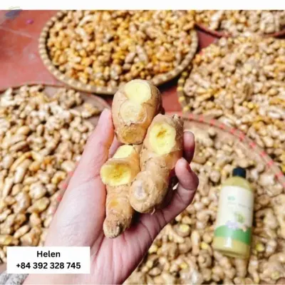 Dried ginger by 99 Gold Data Processing Trading Company Limited