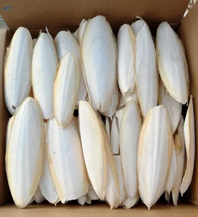 Animal Feed Dried Cuttlefish Bone From Vietnam by 99 Gold Data Processing Trading Company Limited