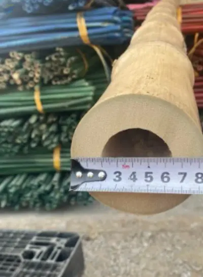 Bamboo Pole / Bamboo Stake by 99 Gold Data Processing Trading Company Limited