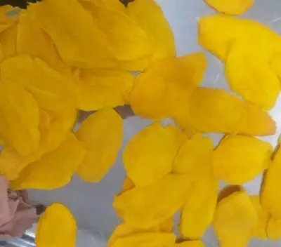 Soft Dried Mango Slices by 99 Gold Data Processing Trading Company Limited