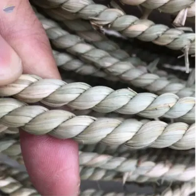 Twisted Seagrass Rope by 99 Gold Data Processing Trading Company Limited