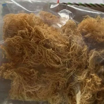Irish seamoss by 99 Gold Data Processing Trading Company Limited
