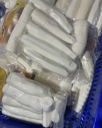 High Quality Frozen Tapioca/Cassava