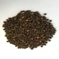 Pepper Pinehead by 99 Gold Data Processing Trading Company Limited