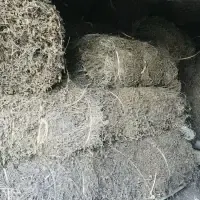 Vietnamese Grass Jelly/Grass Jelly Powder by 99 Gold Data Processing Trading Company Limited
