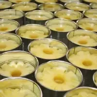 Canned Pineapple