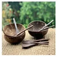 Coconut Set Bowl-spoon-fork by 99 Gold Data Processing Trading Company Limited