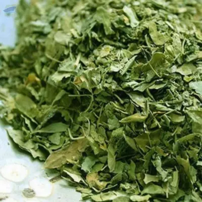 Dried Papaya Leaf For Tea by 99 Gold Data Processing Trading Company Limited