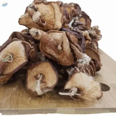 Dried Shiitake Mushroom by 99 Gold Data Processing Trading Company Limited