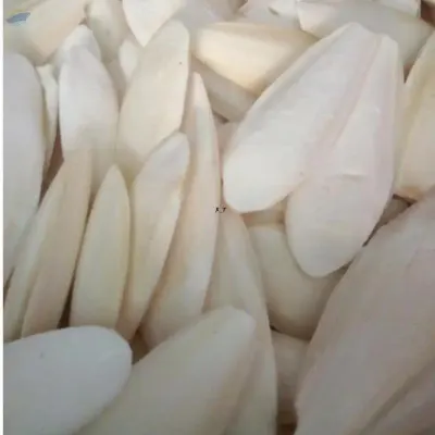 Cuttlefish Bond by 99 Gold Data Processing Trading Company Limited