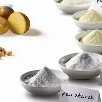 Potato Starch Vietnam by 99 Gold Data Processing Trading Company Limited