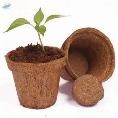 High Quality Coco Coir Pot