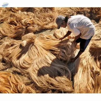Fiber Banana Mills
