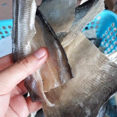 Dried Pangasius Fish Skin Rich Collagen by 99 Gold Data Processing Trading Company Limited