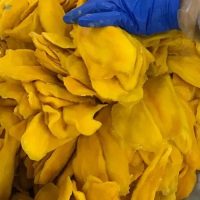 Dried Soft Mango Viet Nam - Dried Fruit by 99 Gold Data Processing Trading Company Limited