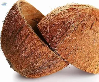 Coconut Shell For Charcoal - From Vietnam by 99 Gold Data Processing Trading Company Limited