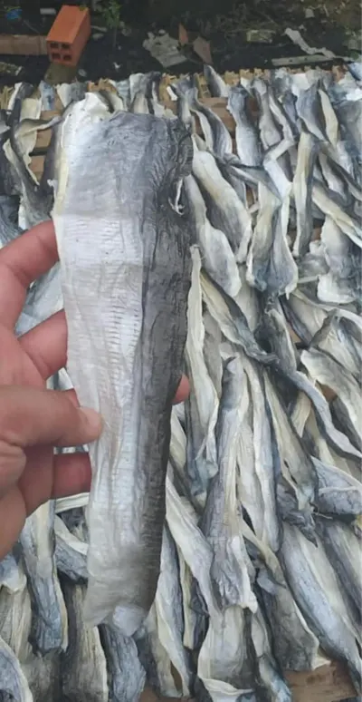 Wholesale Dried Fish Skin For China Market by 99 Gold Data Processing Trading Company Limited
