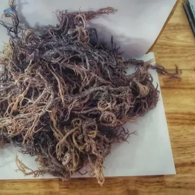 Seaweed Vietnam by 99 Gold Data Processing Trading Company Limited