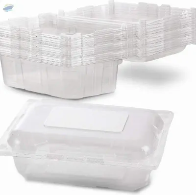 Rectangular Plastic Food Container by 99 Gold Data Processing Trading Company Limited