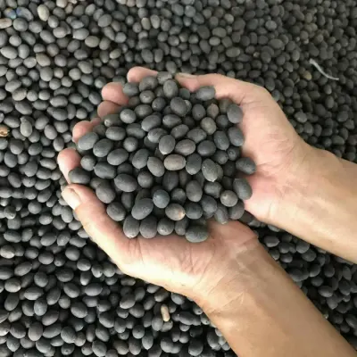 Black Lotus Seeds by 99 Gold Data Processing Trading Company Limited