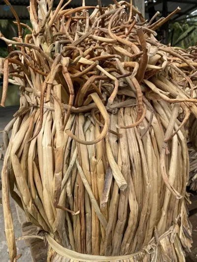 Raw Water Hyacinth by 99 Gold Data Processing Trading Company Limited