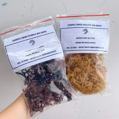 Dried Sea Moss/ Eucheuma Cottonii by 99 Gold Data Processing Trading Company Limited