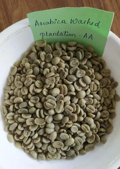 Arabica Washed  Plantation - AA