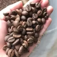 Roasted Coffee Bean by 99 Gold Data Processing Trading Company Limited