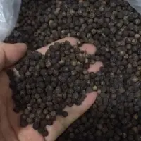 Black Pepper 550G/L, 600G/L by 99 Gold Data Processing Trading Company Limited