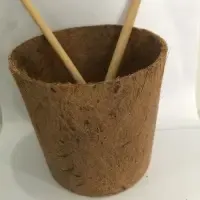 Coir Glass by 99 Gold Data Processing Trading Company Limited