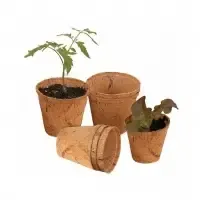 Wholesale Coir Pellet form Vietnam by 99 Gold Data Processing Trading Company Limited