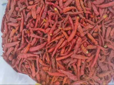 Dried Chili by 99 Gold Data Processing Trading Company Limited