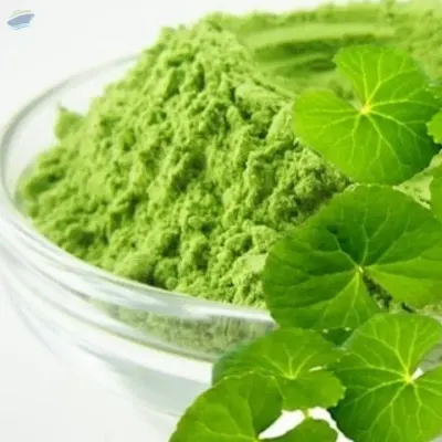 Gotu Kola Powder by 99 Gold Data Processing Trading Company Limited