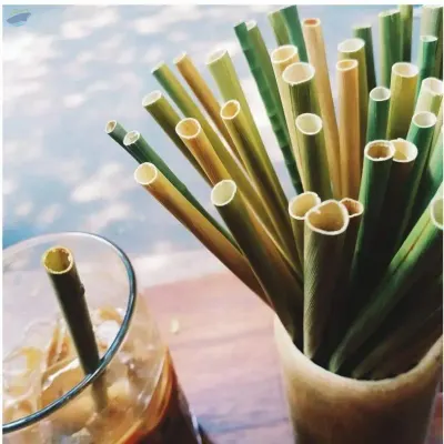 Grass Drinking Straw by 99 Gold Data Processing Trading Company Limited
