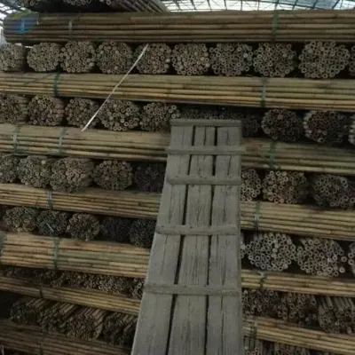 Processed Bamboo Poles Tube High Quality by 99 Gold Data Processing Trading Company Limited