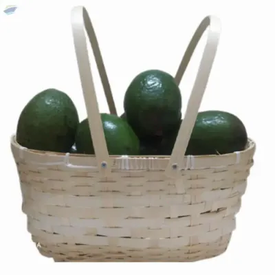 Camping Picnic Basket/Beach Holiday