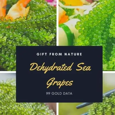 Good Quality Seagrapes by 99 Gold Data Processing Trading Company Limited