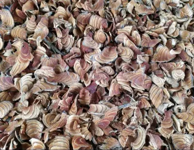 Dried Caulis Spatholoby