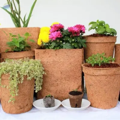 Coir Pot by 99 Gold Data Processing Trading Company Limited