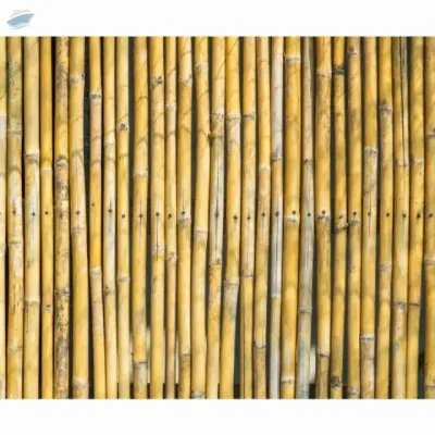 For Your Garden Decoration - Bamboo Fences by 99 Gold Data Processing Trading Company Limited