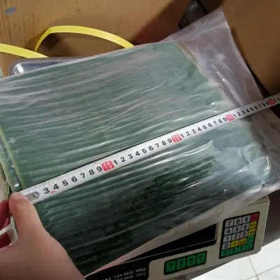 Frozen Banana Leaf