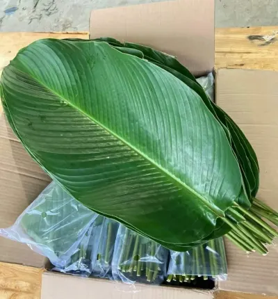 Vietnamese Frozen Dong Leaves