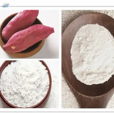 Starch Potato Sweet by 99 Gold Data Processing Trading Company Limited