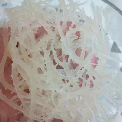 High-Quality Dried Salted/Unsalted Sea Moss by 99 Gold Data Processing Trading Company Limited
