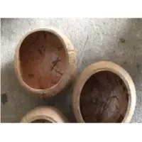 Vietnam Coconut Shell Bowl by 99 Gold Data Processing Trading Company Limited